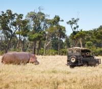Game Viewing
